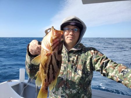 ブルーピア 釣果