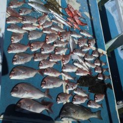 十八宝洋丸 釣果