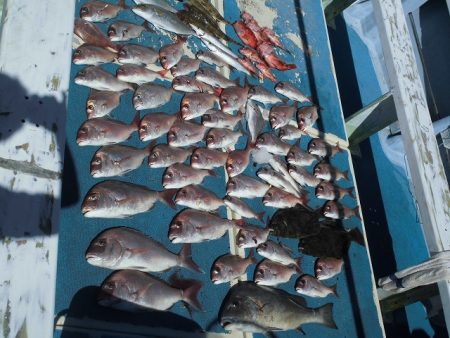 十八宝洋丸 釣果