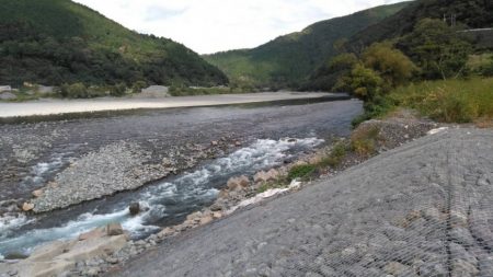 大井川（大井川(非)漁業協同組合） 釣果