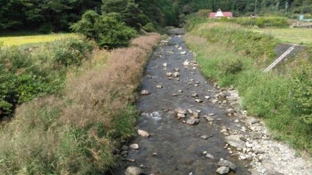 大井川(大井川(非)漁業協同組合) 釣果