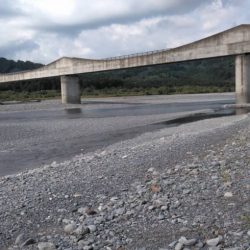 大井川(大井川(非)漁業協同組合) 釣果