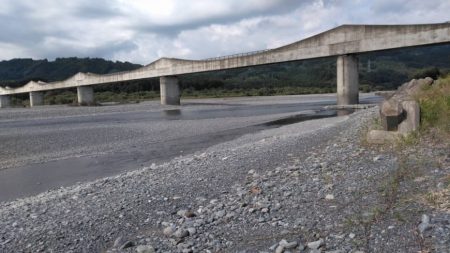 大井川(大井川(非)漁業協同組合) 釣果