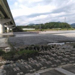 大井川(大井川(非)漁業協同組合) 釣果