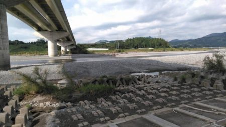 大井川(大井川(非)漁業協同組合) 釣果