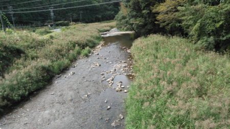大井川(大井川(非)漁業協同組合) 釣果