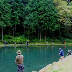 小菅トラウトガーデン 釣果