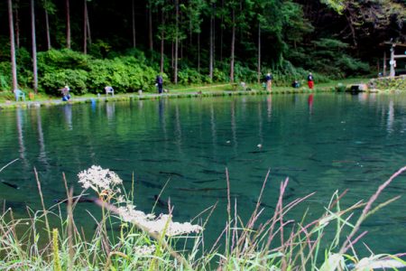 小菅トラウトガーデン 釣果