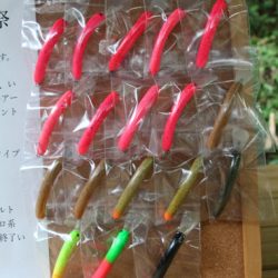 小菅トラウトガーデン 釣果