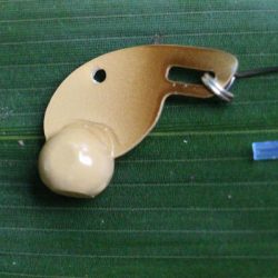 小菅トラウトガーデン 釣果