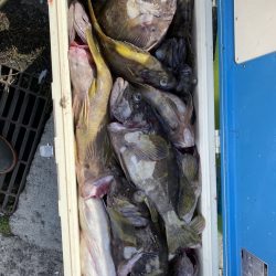 第八平成丸 釣果