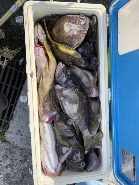 第八平成丸 釣果