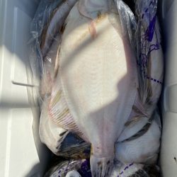 第八平成丸 釣果