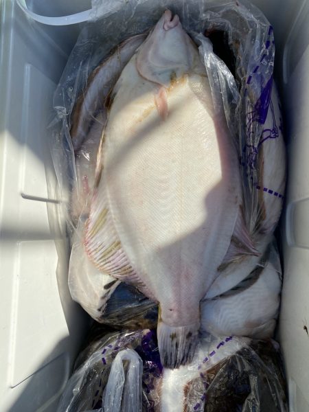 第八平成丸 釣果