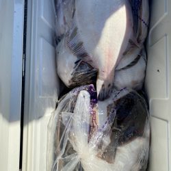 第八平成丸 釣果