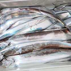 松本釣船２ 釣果