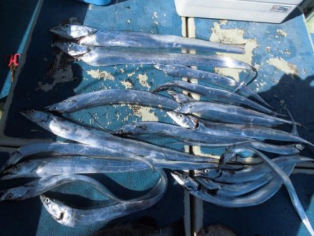 十八宝洋丸 釣果