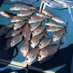 十八宝洋丸 釣果