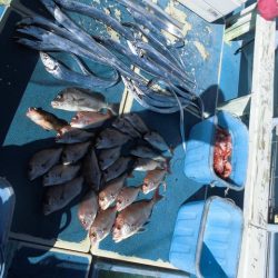 十八宝洋丸 釣果