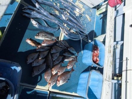 十八宝洋丸 釣果