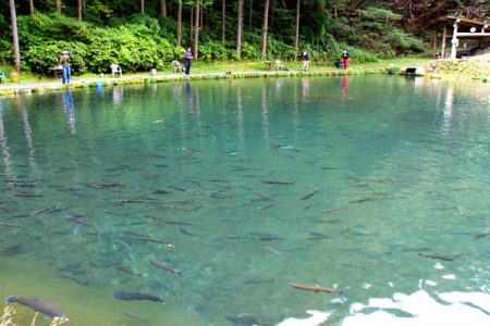 小菅トラウトガーデン 釣果