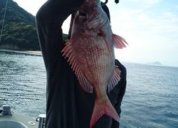 愛裕南丸 釣果