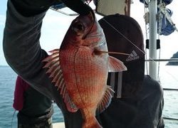 愛裕南丸 釣果