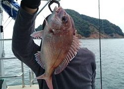 愛裕南丸 釣果