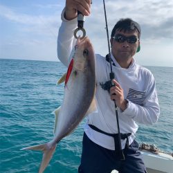 マタウマリンサービス 釣果