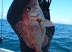 愛裕南丸 釣果
