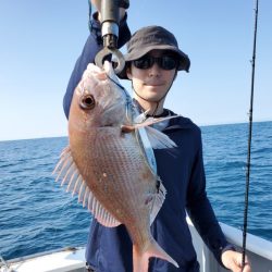 ブルーピア 釣果