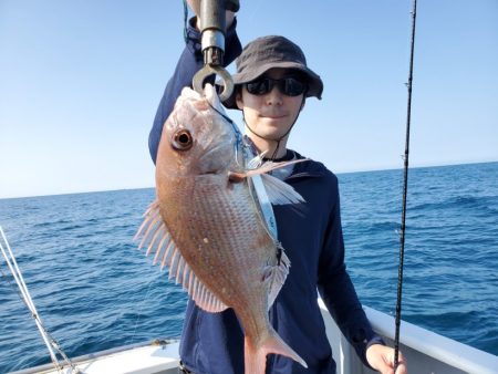 ブルーピア 釣果