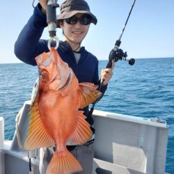 ブルーピア 釣果