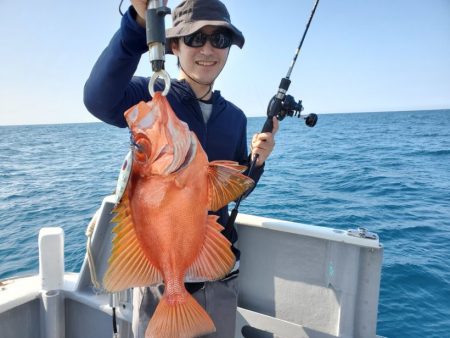 ブルーピア 釣果