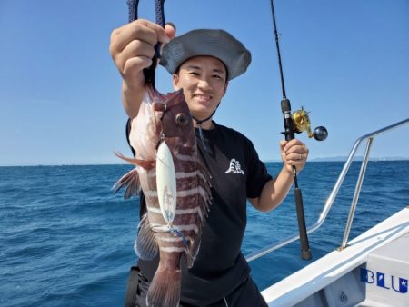 ブルーピア 釣果