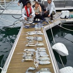 フィッシングボートACE(エース) 釣果