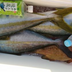 海龍丸(福岡) 釣果