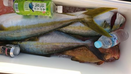 海龍丸(福岡) 釣果