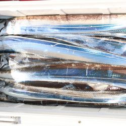 松本釣船２ 釣果