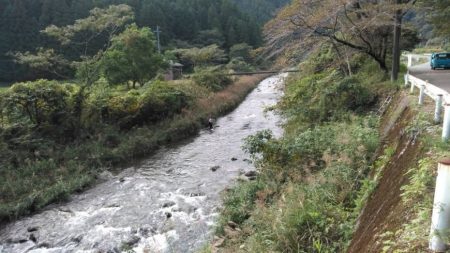 大井川(大井川(非)漁業協同組合) 釣果