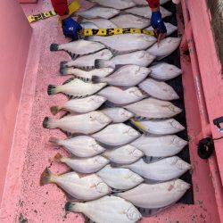 第八平成丸 釣果