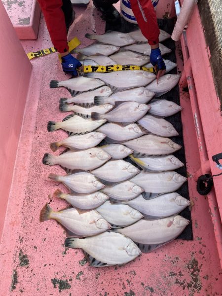 第八平成丸 釣果