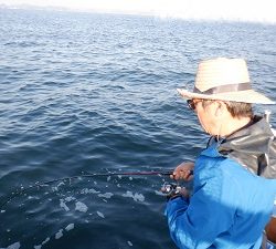 遊漁船 幸友丸 釣果