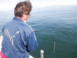 遊漁船 幸友丸 釣果