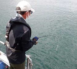 遊漁船 幸友丸 釣果