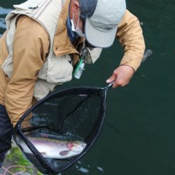 小菅トラウトガーデン 釣果