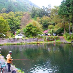 小菅トラウトガーデン 釣果