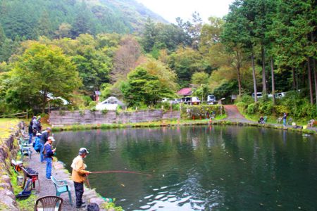 小菅トラウトガーデン 釣果