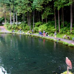 小菅トラウトガーデン 釣果