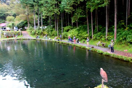 小菅トラウトガーデン 釣果